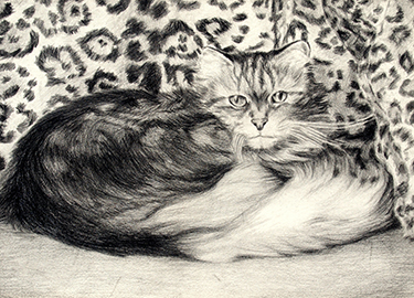 Martha's Kitty Martha's Kitty