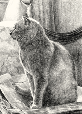 Russian Blue on Washington Post Russian Blue on Washington Post