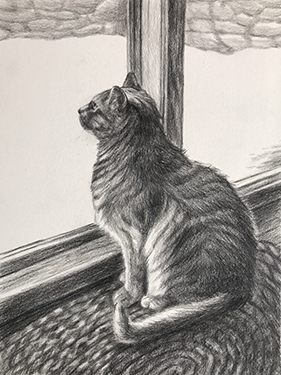 Tabby Tabby