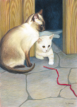 Mocha, Putka and the Red String Mocha, Putka and the Red String