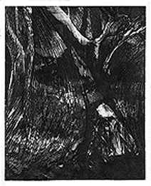 Forest Storm Intaglio