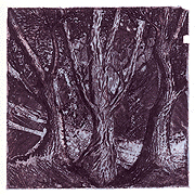 Tree Dance Intaglio