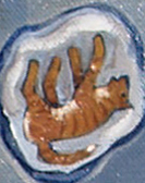 tabby