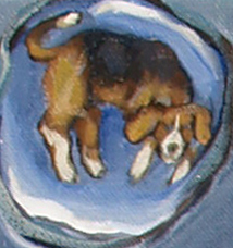 beagle