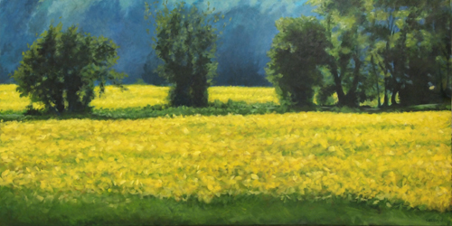 Dunkirk view - Yellow Bank Road