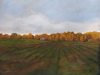 Fall Fallow