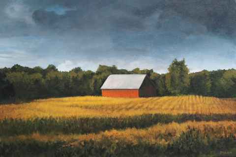 Red Barn at 6pm 2010