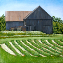The Barn next to Trotts