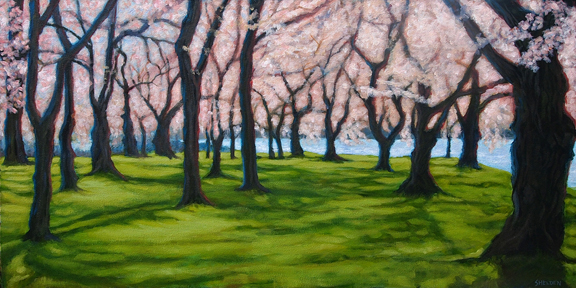 Cherry Blossom Grove