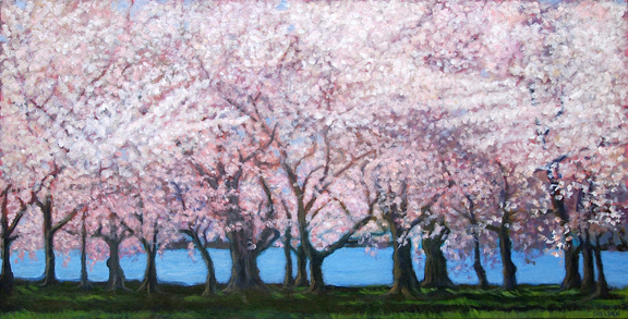 Cherry Blossom Grove